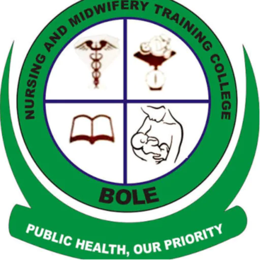 Nursing and Midwifery Training College, Bole